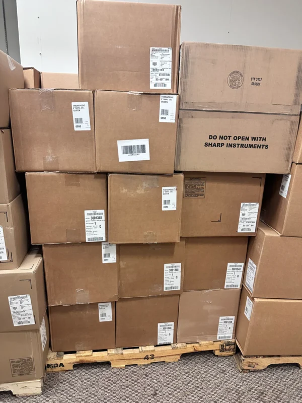 Wholesale Bed, Bath & Beyond Mattress & Pillow Pallet – New Overstock Merchandise
