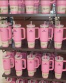 Wholesale Stanley Cups Pallet – 300 Pieces in Assorted Colors