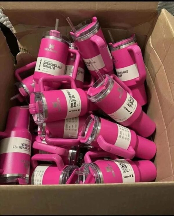 Wholesale Stanley Cups Pallet – 300 Pieces in Assorted Colors