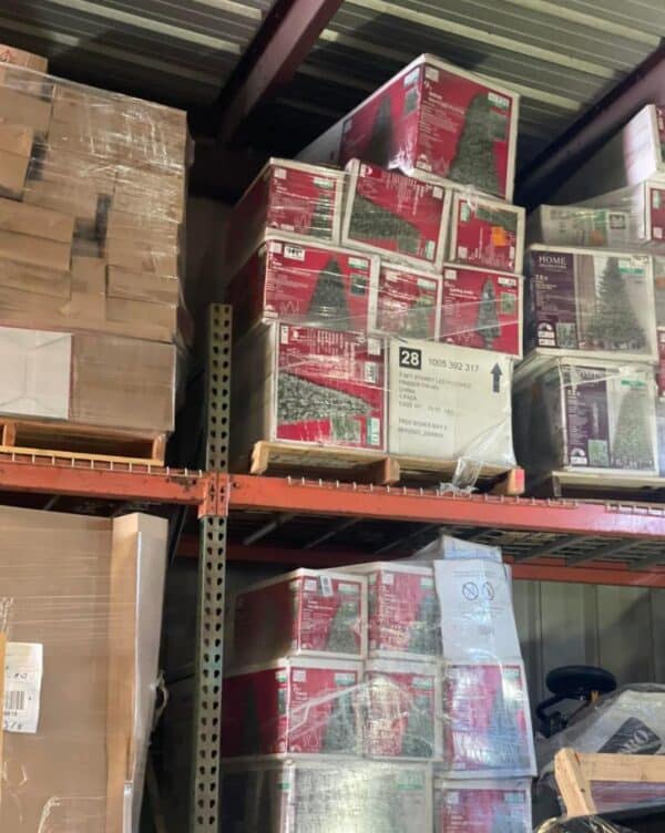 Christmas Tree Pallets Now Available in Bulk - Image 4