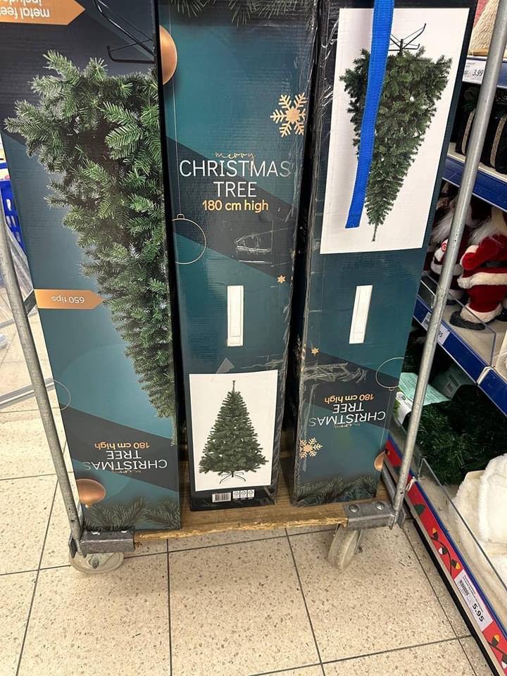 Christmas Tree Pallets Now Available in Bulk - Image 6